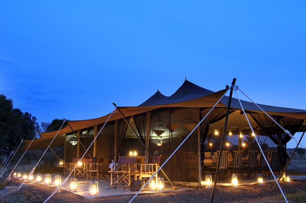 Porini Lion Camp